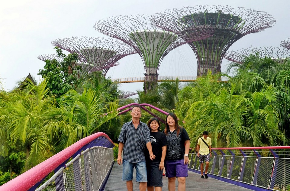 gardens by the bay blog,gardens by the bay singapore (3)