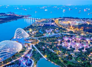 gardens by the bay blog,gardens by the bay singapore,how to visit gardens by the bay,gardens by the bay guide (1)