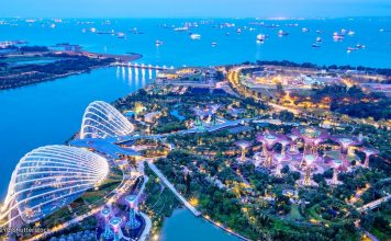 gardens by the bay blog,gardens by the bay singapore,how to visit gardens by the bay,gardens by the bay guide (1)