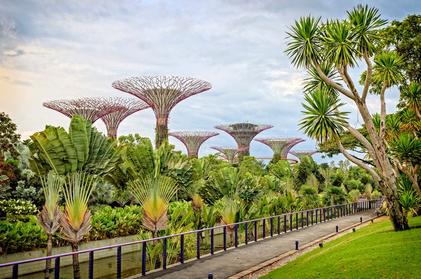 gardens by the bay blog,gardens by the bay singapore,how to visit gardens by the bay,gardens by the bay guide (1)