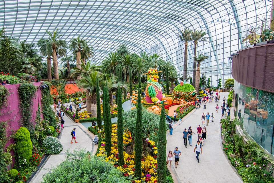 gardens by the bay blog,gardens by the bay singapore,how to visit gardens by the bay,gardens by the bay guide (1)