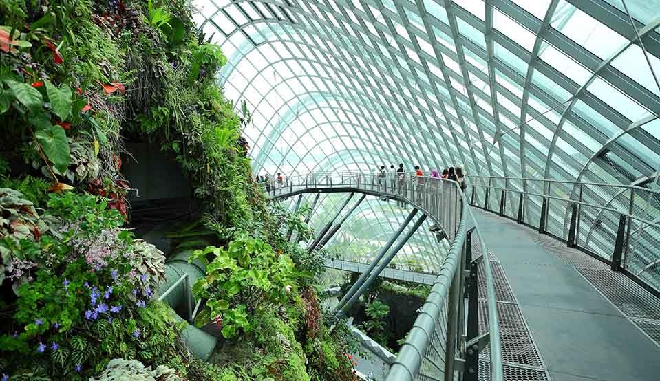 gardens by the bay blog,gardens by the bay singapore,how to visit gardens by the bay,gardens by the bay guide (1)