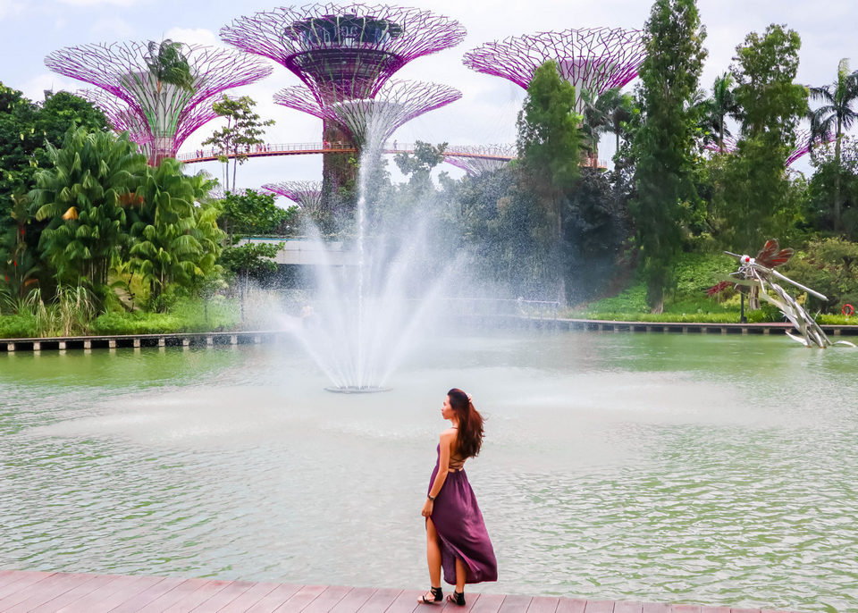 gardens by the bay blog,gardens by the bay singapore,how to visit gardens by the bay,gardens by the bay guide (1)