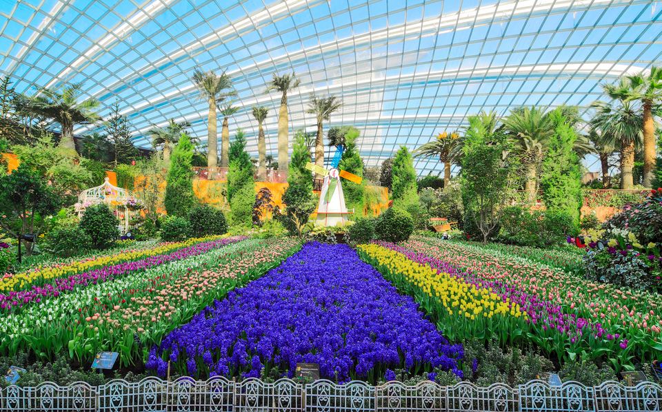 singapore gardens by the bay blog,gardens by the bay singapore,how to visit gardens by the bay,gardens by the bay guide (1)