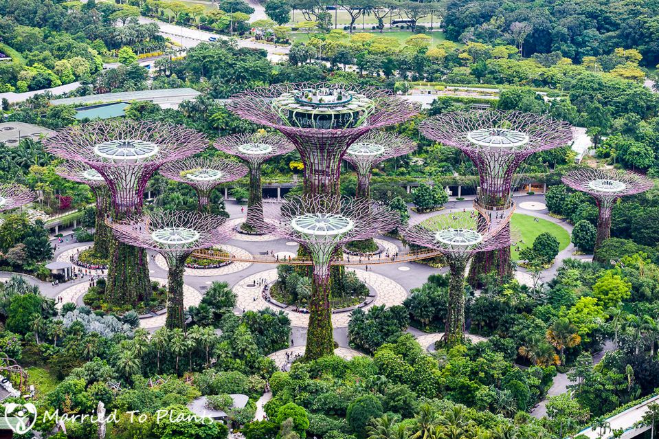 singapore gardens by the bay blog,gardens by the bay singapore,how to visit gardens by the bay,gardens by the bay guide (10)