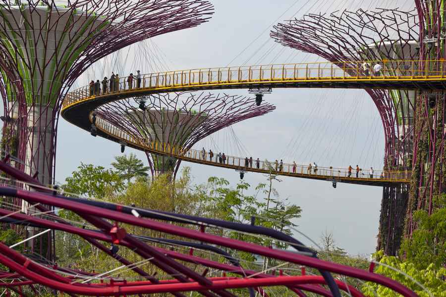 singapore gardens by the bay blog,gardens by the bay singapore,how to visit gardens by the bay,gardens by the bay guide (13)