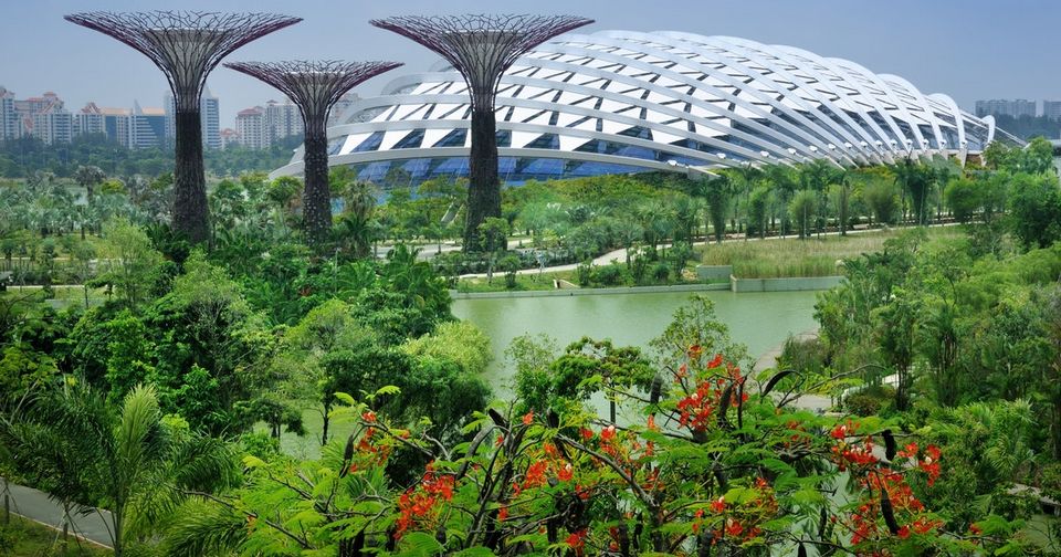 singapore gardens by the bay blog,gardens by the bay singapore,how to visit gardens by the bay,gardens by the bay guide (16)