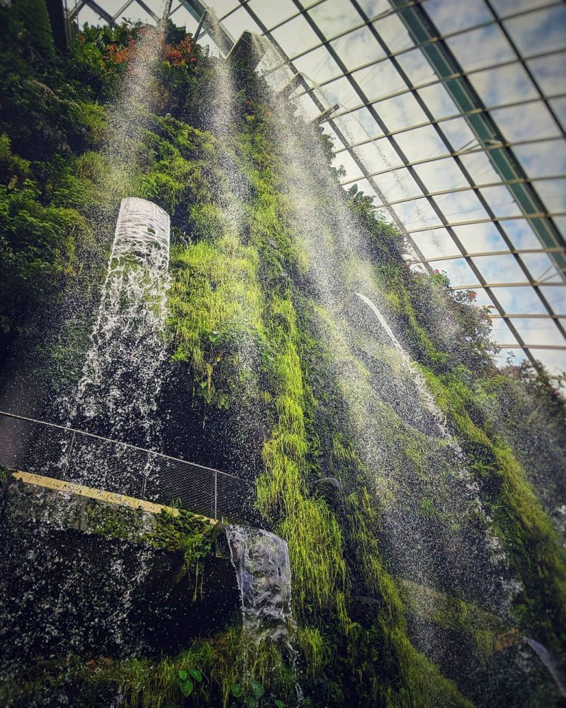 singapore gardens by the bay blog,gardens by the bay singapore,how to visit gardens by the bay,gardens by the bay guide (2)