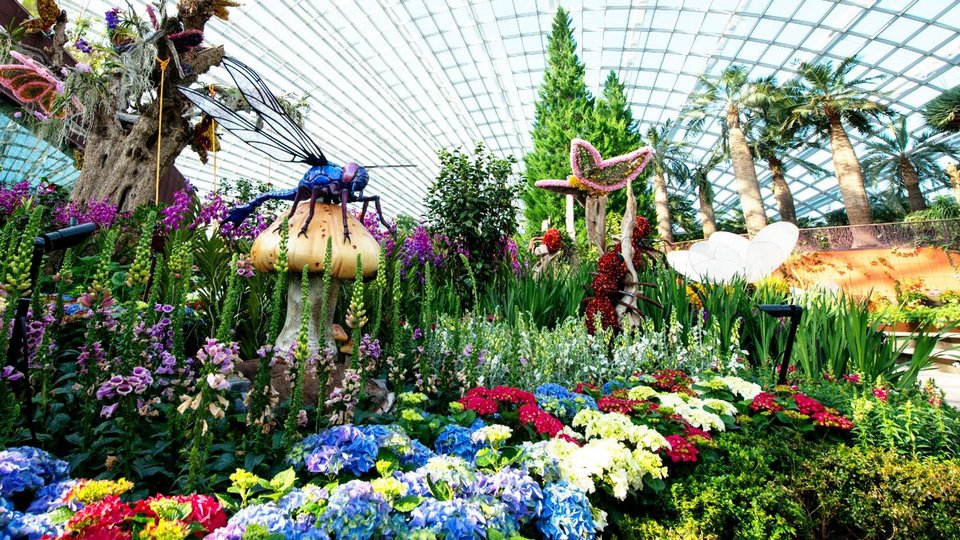singapore gardens by the bay blog,gardens by the bay singapore,how to visit gardens by the bay,gardens by the bay guide (14)