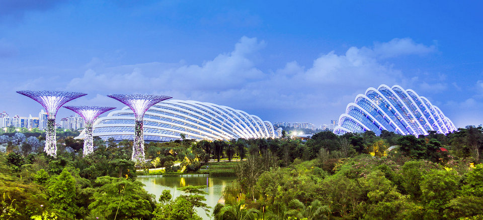singapore gardens by the bay blog,gardens by the bay singapore,how to visit gardens by the bay,gardens by the bay guide (5)
