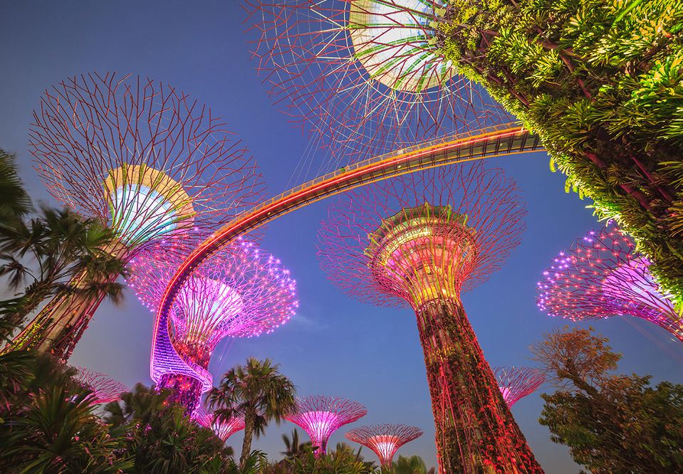 singapore gardens by the bay blog,gardens by the bay singapore,how to visit gardens by the bay,gardens by the bay guide (7)