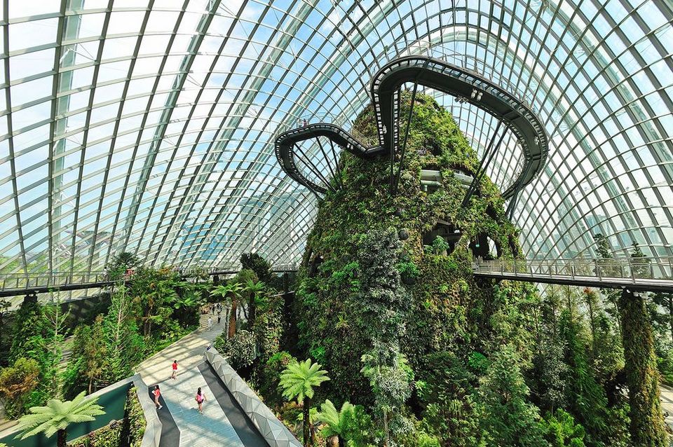 singapore gardens by the bay blog,gardens by the bay singapore,how to visit gardens by the bay,gardens by the bay guide (8)