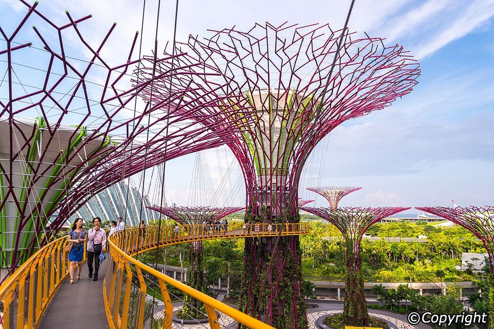 singapore gardens by the bay blog,gardens by the bay singapore,how to visit gardens by the bay,gardens by the bay guide (9)