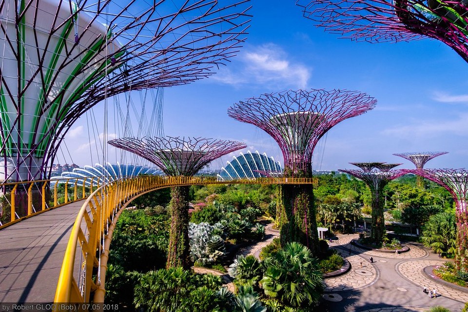 supetree glove,gardens by the bay blog,gardens by the bay singapore,how to visit gardens by the bay,gardens by the bay guide (1)