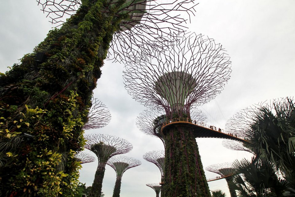 supetree glove,gardens by the bay blog,gardens by the bay singapore,how to visit gardens by the bay,gardens by the bay guide (1)