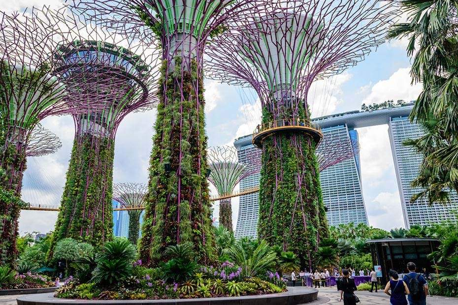 supetree glove,gardens by the bay blog,gardens by the bay singapore,how to visit gardens by the bay,gardens by the bay guide (1)