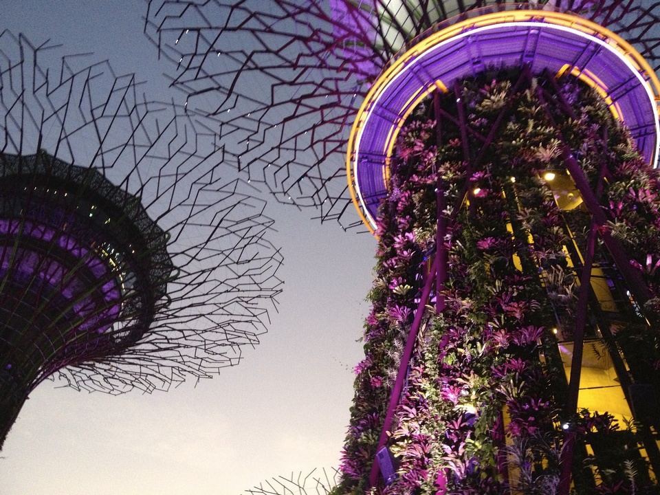 supetree glove,gardens by the bay blog,gardens by the bay singapore,how to visit gardens by the bay,gardens by the bay guide (1)