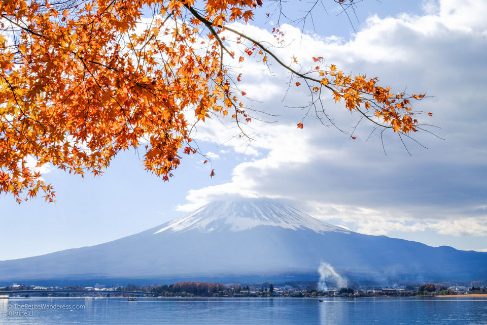 autumn kawaguchiko
