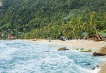 Haad Yuan beach, trees, and water on Koh Phangan in Thailand
