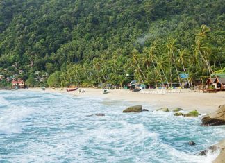 Haad Yuan beach, trees, and water on Koh Phangan in Thailand