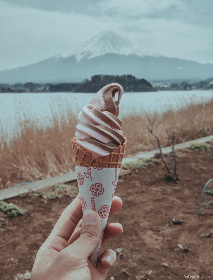 oishi park, kawaguchiko travel blog (7)