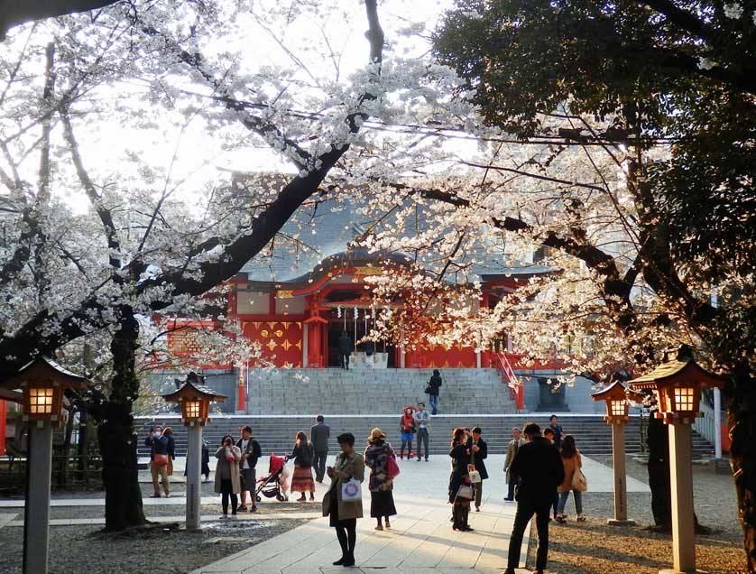 Hanazono Jinja Shrine,best neighborhoods in tokyo for tourist,best neighbourhoods in tokyo,coolest neighborhoods in tokyo (1)