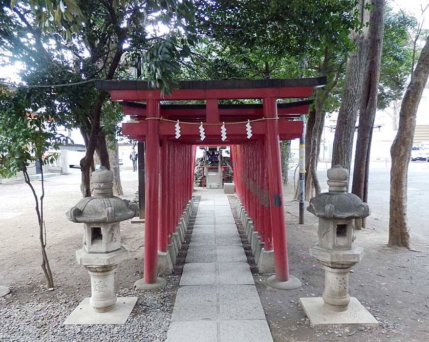 Hanazono Jinja Shrine,best neighborhoods in tokyo for tourist,best neighbourhoods in tokyo,coolest neighborhoods in tokyo (1)