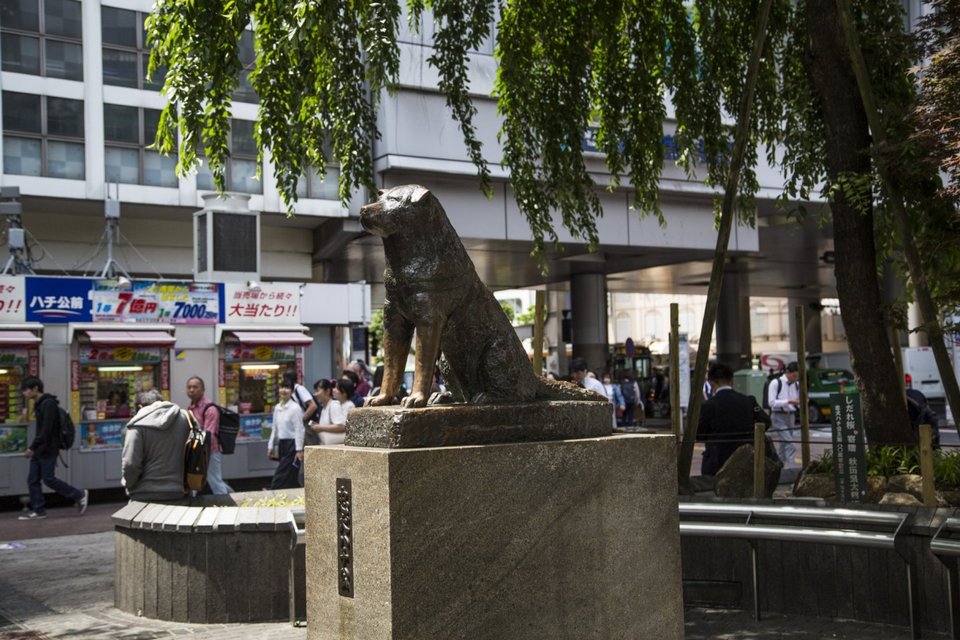The famous of Hachiko Statue