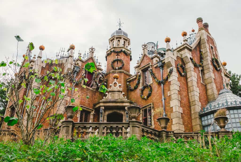 fantasyland castle