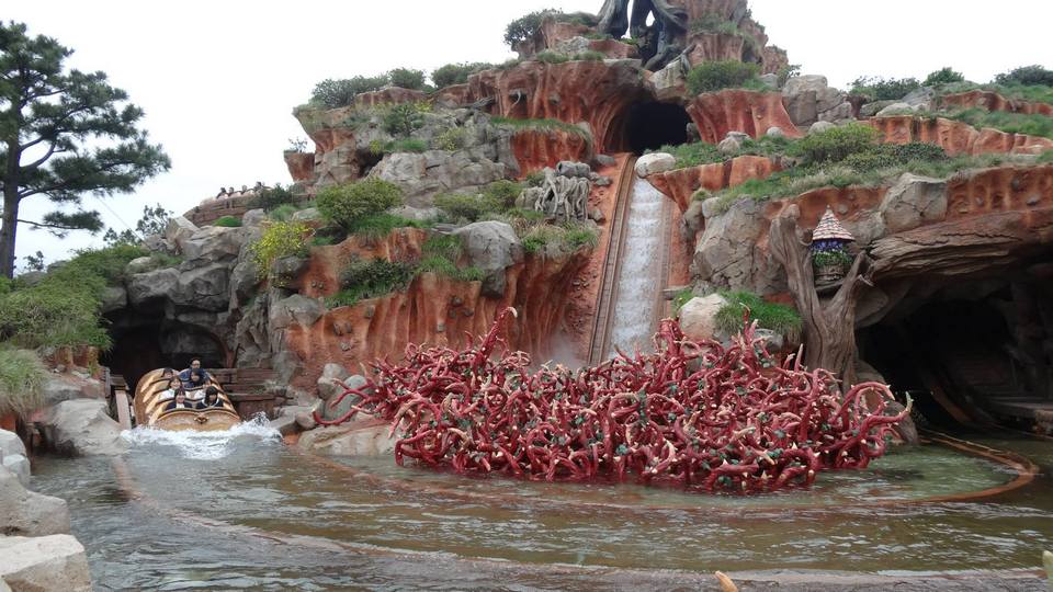 splash-mountain-tdl-flex