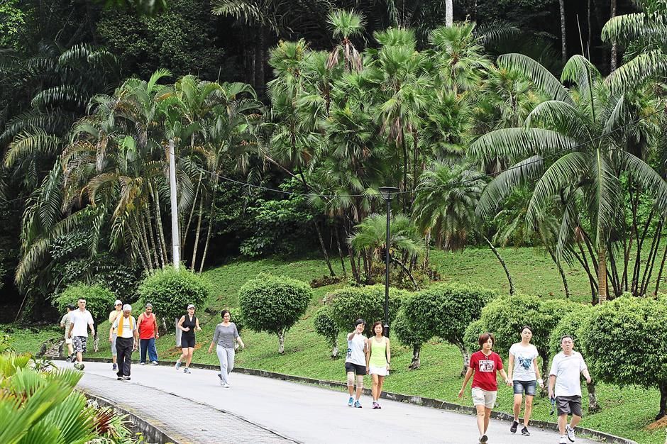 Penang Botanic Gardens (2)