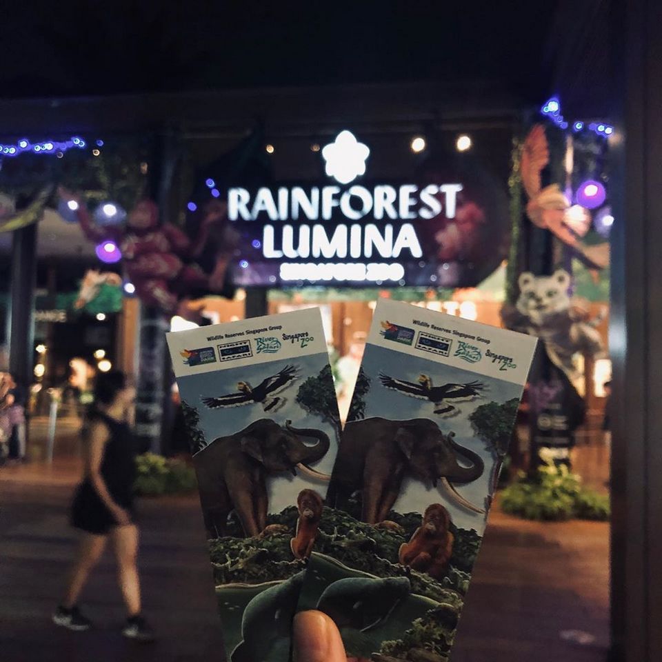 rainforest lumina singapore zoo,what to do in sg at night,what to do in singapore at night,what to do at singapore at night (1)