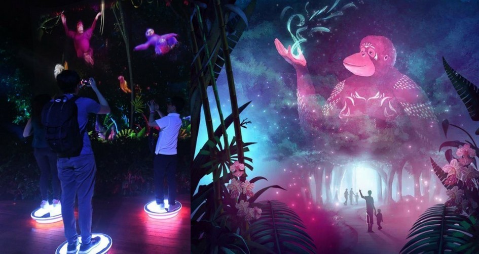 rainforest lumina singapore zoo,what to do in sg at night,what to do in singapore at night,what to do at singapore at night (1)