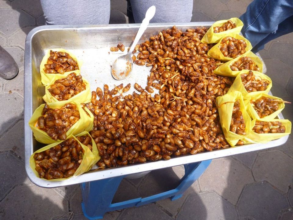 Beondegi (Crunchy Stir-fried Silkworm Pupae) (1)