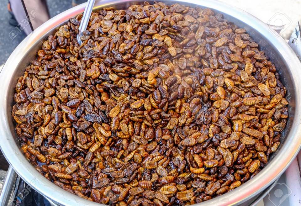 Beondegi (Crunchy Stir-fried Silkworm Pupae) (2)