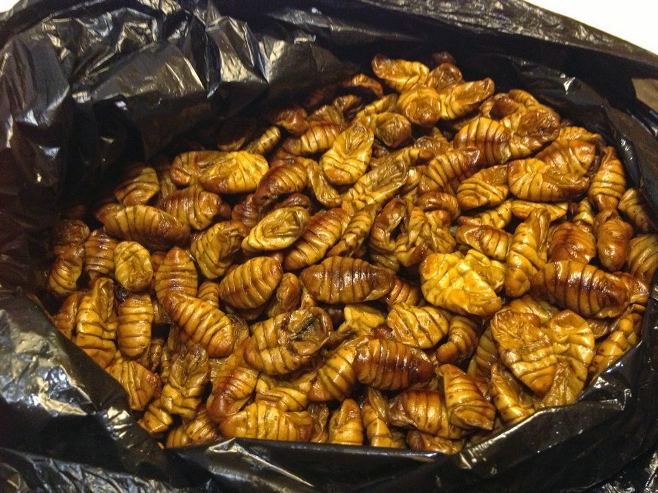 Beondegi (Crunchy Stir-fried Silkworm Pupae) (3)