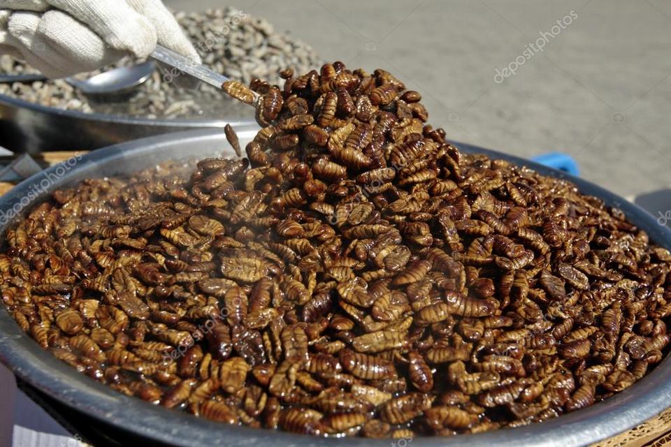 Beondegi (Crunchy Stir-fried Silkworm Pupae) (5)