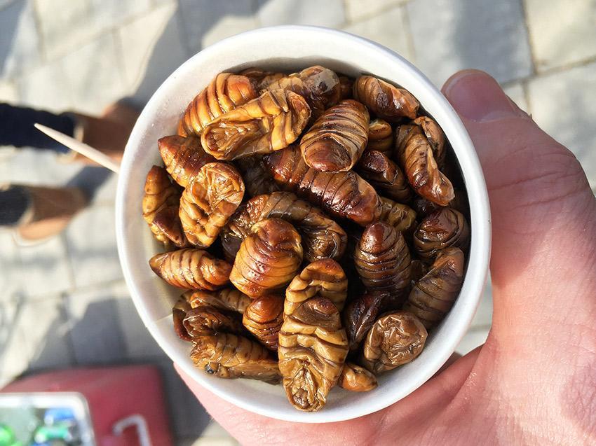 Beondegi (Crunchy Stir-fried Silkworm Pupae) (6)