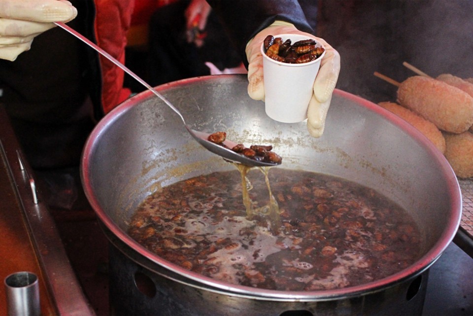 Beondegi (Crunchy Stir-fried Silkworm Pupae) (7)