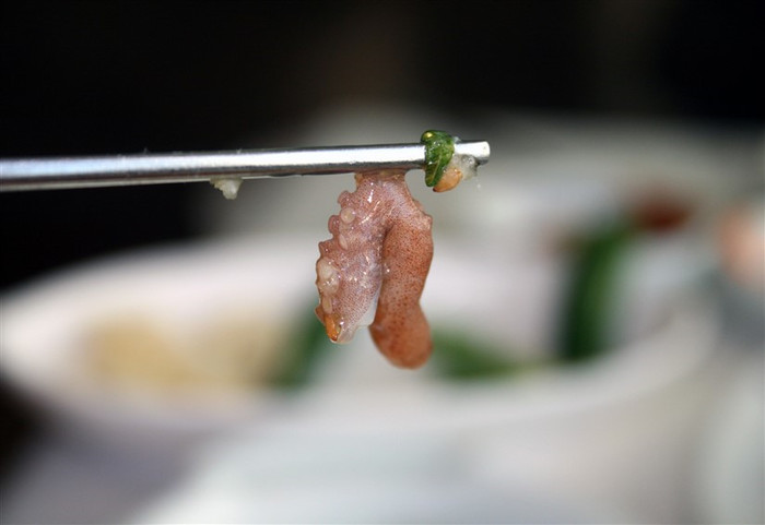 Sannakji (Live Octopus Sashimi)
