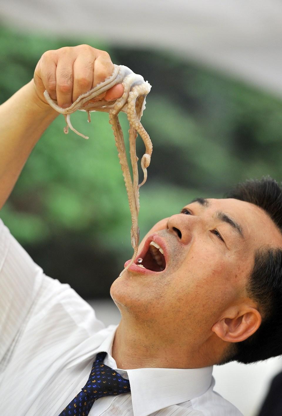 Sannakji (Live Octopus Sashimi),strange food in korea,unusual korean food,weird korean food,korean strange food (12)