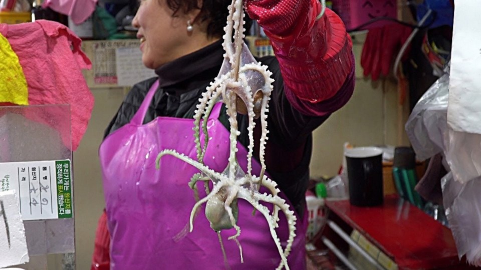Sannakji (Live Octopus Sashimi),strange food in korea,unusual korean food,weird korean food,korean strange food (4)