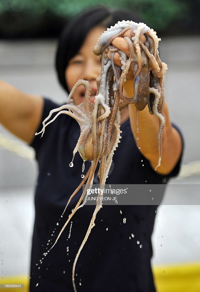 Sannakji (Live Octopus Sashimi),strange food in korea,unusual korean food,weird korean food,korean strange food (6)