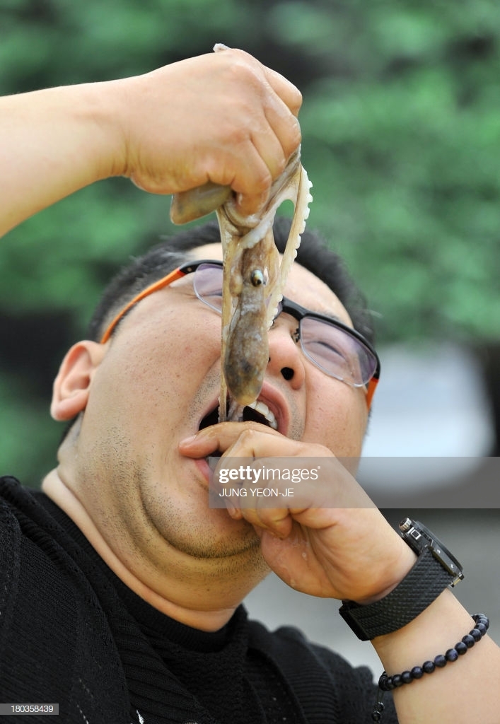 Sannakji (Live Octopus Sashimi),strange food in korea,unusual korean food,weird korean food,korean strange food (7)