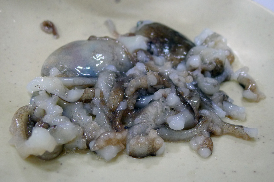 Sannakji (Live Octopus Sashimi),strange food in korea,unusual korean food,weird korean food,korean strange food (9)
