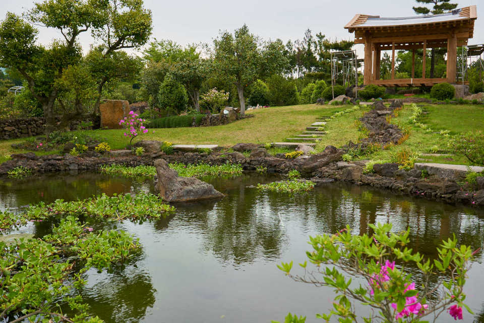 Camellia Hill jeju,best places to visit in jeju island,jeju must go places,must see places in jeju,must go places in jeju (10)