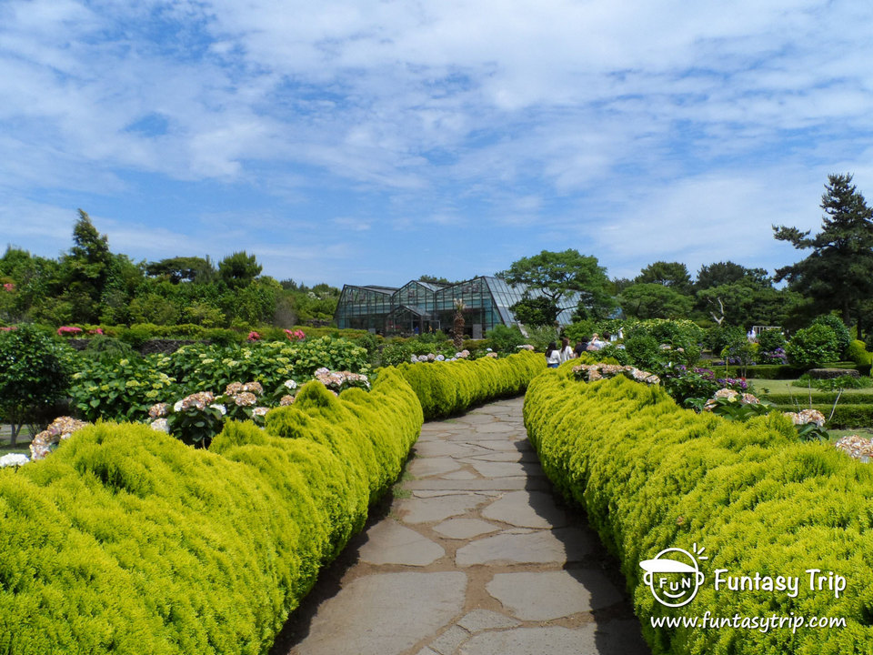 Camellia Hill jeju,best places to visit in jeju island,jeju must go places,must see places in jeju,must go places in jeju (18)