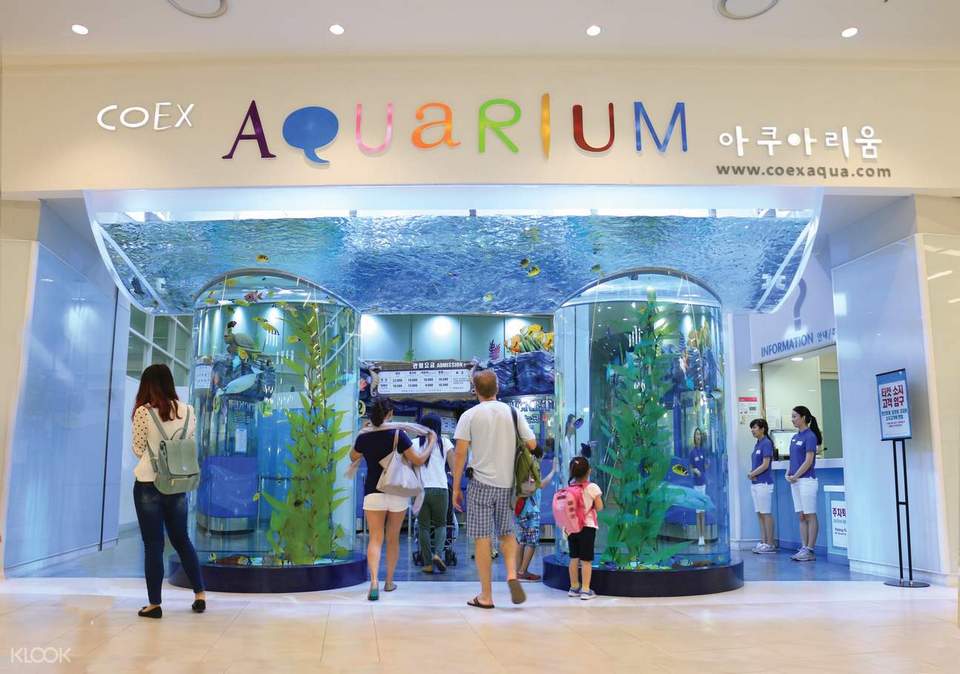 COEX Mall (1)