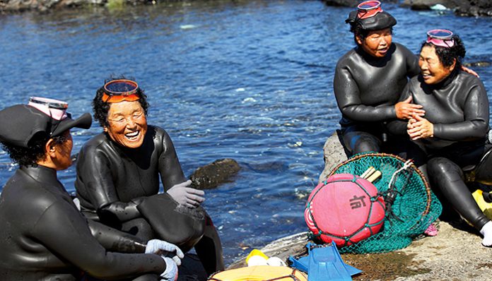 Haenyeo women divers jeju (1)