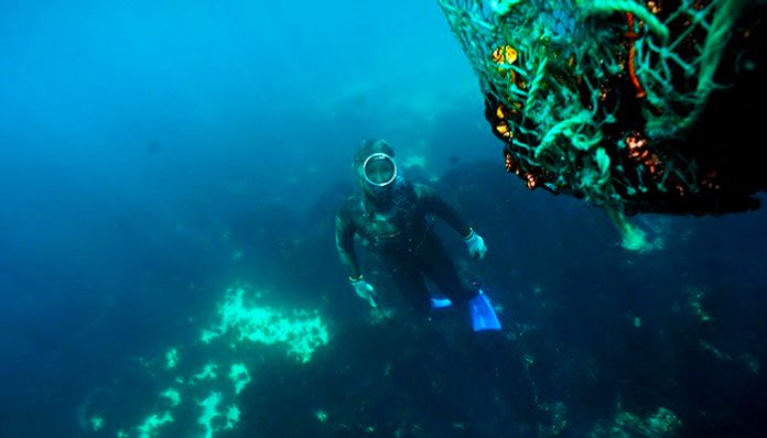 Haenyeo women divers jeju (1)